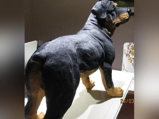 Ce n'est pas un vraie chien, il est en résine, il est grandeur nature, Devant une porte il fait figure de sécurité thumbnail 7