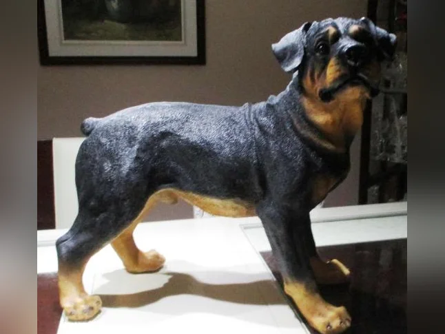 Ce n'est pas un vraie chien, il est en résine, il est grandeur nature, Devant une porte il fait figure de sécurité thumbnail 2