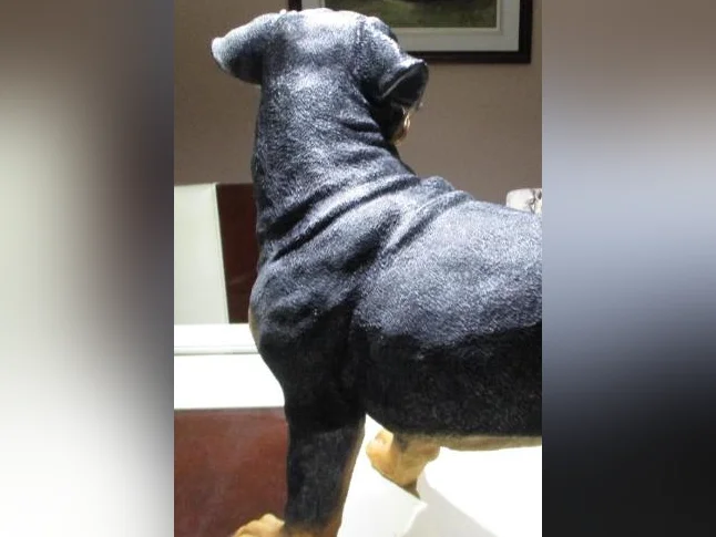 Ce n'est pas un vraie chien, il est en résine, il est grandeur nature, Devant une porte il fait figure de sécurité thumbnail 5