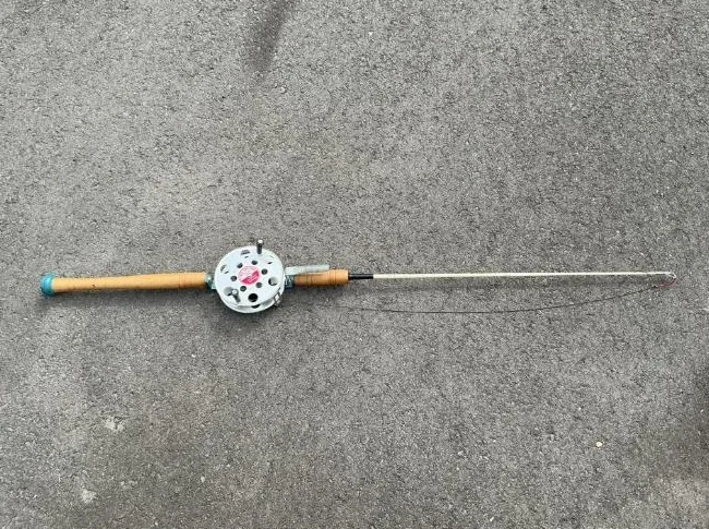 Canne à pêche