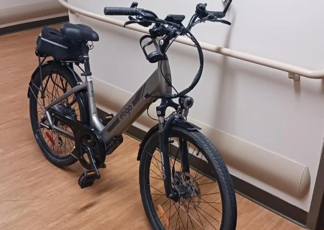 À vendre : vélo électrique ebgo