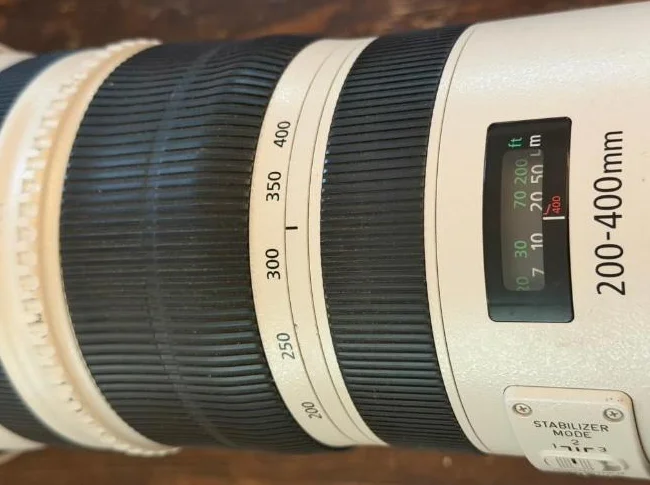 Canon EF 200-400 mm f/4L IS USM avec multiplicateur 1,4x intégré
