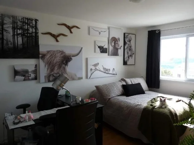5 ½ à louer, style condo, Terrebonne, avec inclusions thumbnail 7