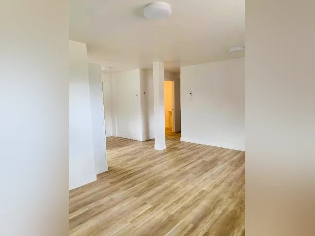 🏡 À louer – Bas de duplex à Saint-Donat 🌲 thumbnail 3