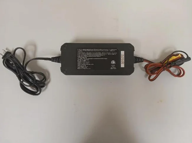 Chargeur de batterie Motomaster thumbnail 5