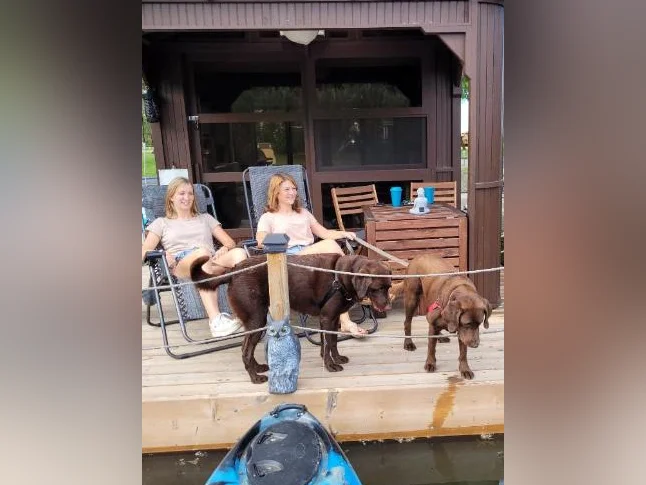 Airbnb à vendre : Cabine flottante de style glamping insolite idéalement située en Montérégie thumbnail 2