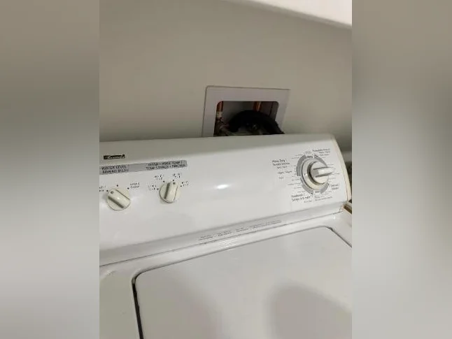 Électroménager