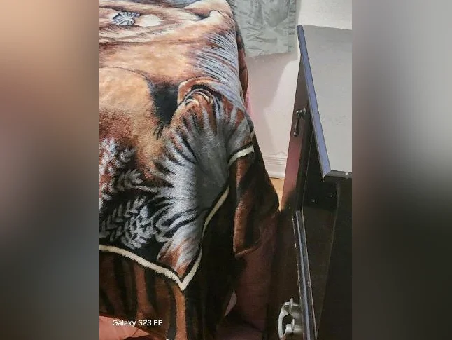 Chambre meublé  A louer, dans un 51/2 thumbnail 2