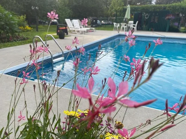 Condo à louer à Boucherville dans un jardin avec piscine! thumbnail 10