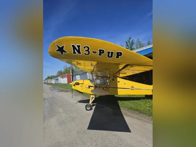 Ultra-Léger N3 PUP ( Nostalgair)