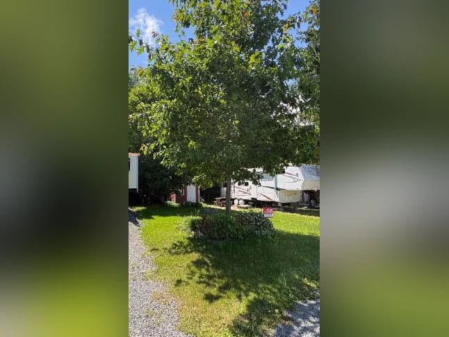 Lot de camping privé à vendre thumbnail 5