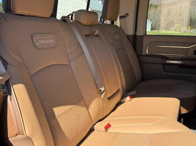 Dodge Ram 3500 Lorghorn 2020 thumbnail 10