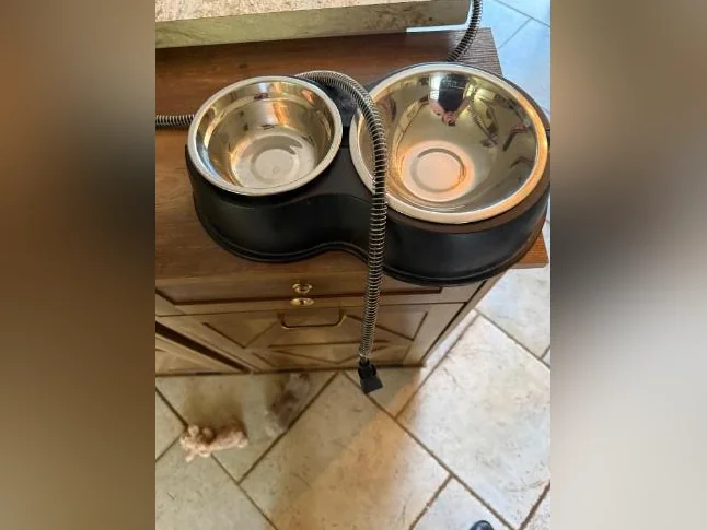 Gamelle chauffante d’extérieur (bol) pour animaux domestiques ou sauvages