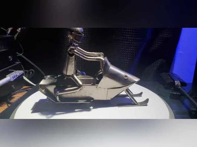 Sculpture Skidoo Stainless