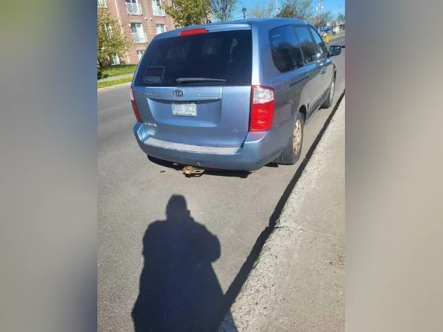 KIA SEDONA 2009 thumbnail 2