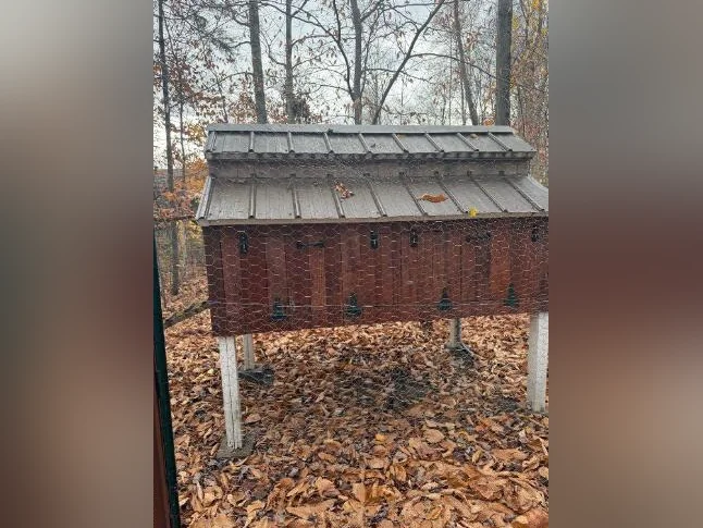 Poulailler pour 8 poules et moins, tout équiper, isoler pour l’hiver avec chauffage. Faite votre prix!