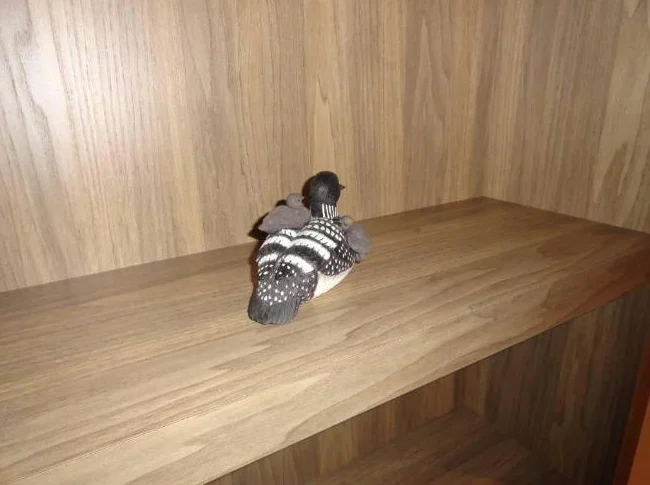 Canards pour collection ou décoration thumbnail 6