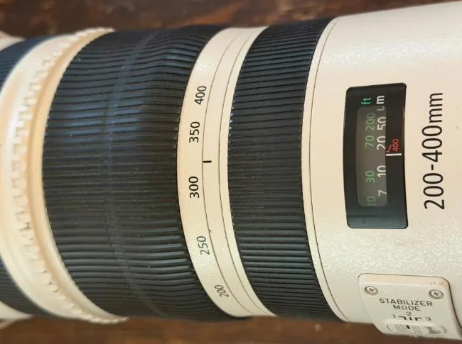 Canon EF 200-400 mm f/4L IS USM avec multiplicateur 1,4x intégré