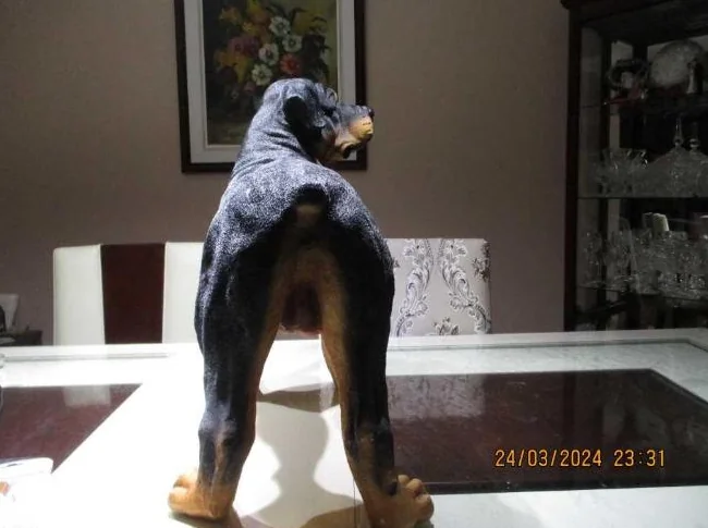 Ce n'est pas un vraie chien, il est en résine, il est grandeur nature, Devant une porte il fait figure de sécurité thumbnail 6