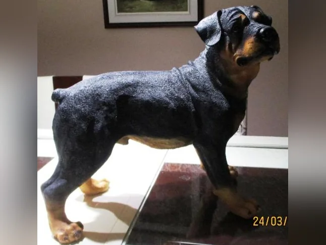 Ce n'est pas un vraie chien, il est en résine, il est grandeur nature, Devant une porte il fait figure de sécurité thumbnail 8