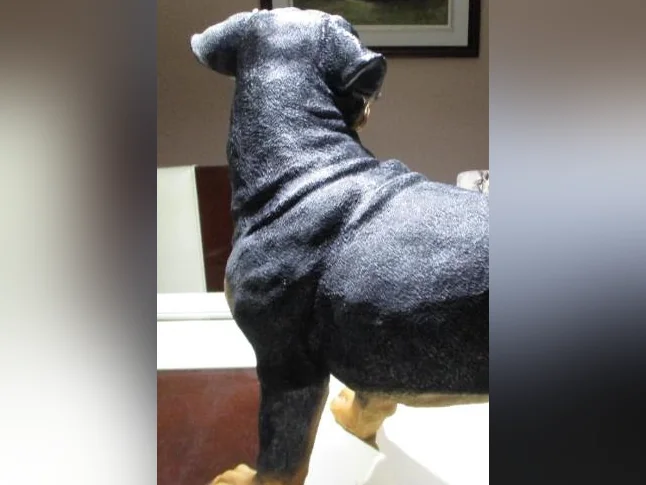 Ce n'est pas un vraie chien, il est en résine, il est grandeur nature, Devant une porte il fait figure de sécurité thumbnail 5