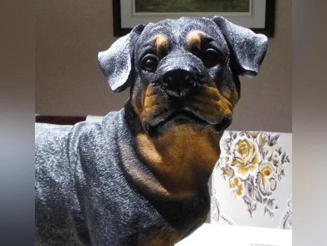 Ce n'est pas un vraie chien, il est en résine, il est grandeur nature, Devant une porte il fait figure de sécurité