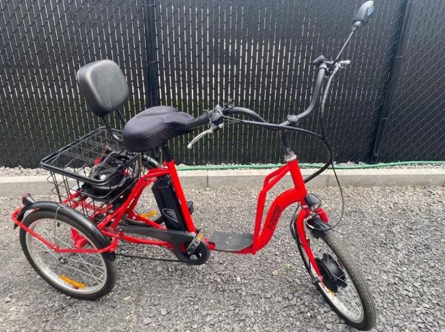 Tricycle électrique