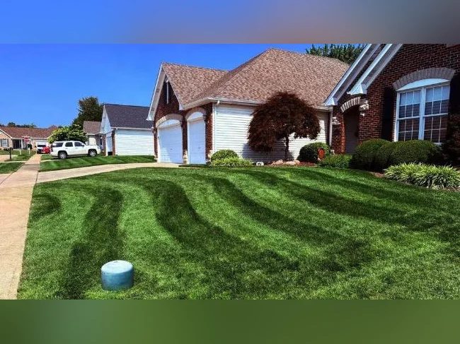 Affordable Landscaping and Car Washing thumbnail 4
