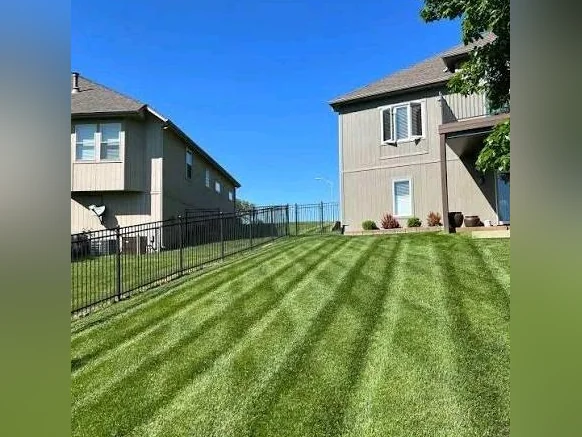 Affordable Landscaping and Car Washing thumbnail 3
