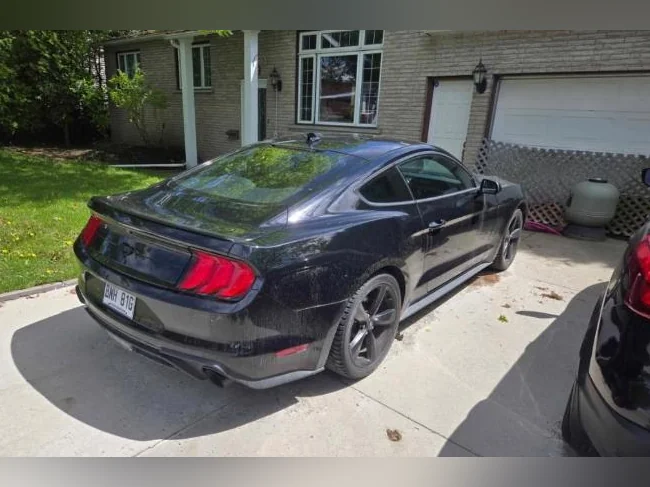 Mustang 2022 thumbnail 3