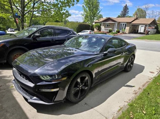Mustang 2022