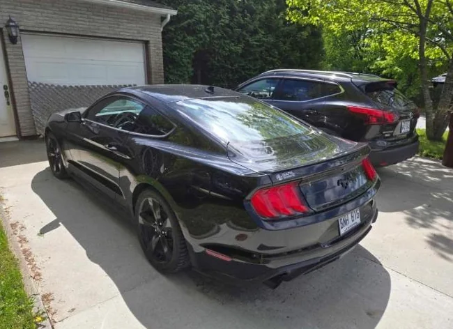Mustang 2022 thumbnail 2