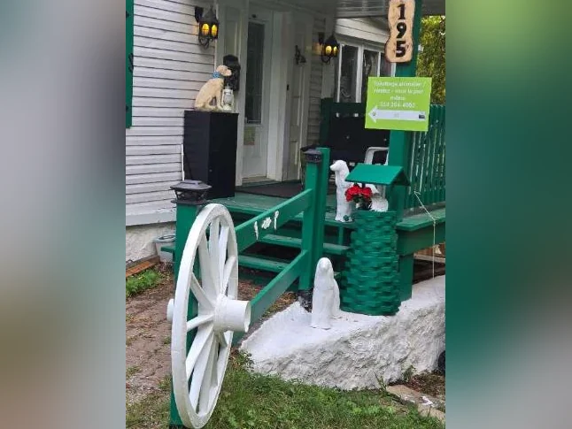 Toilettage a ste adèle