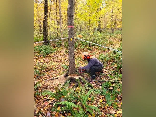 Recherche érablière à louer ( érable sucrerie terre bois ferme entaille eau entaillage aménagement ) thumbnail 5
