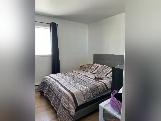 Très grand 4 1/2 thumbnail 3