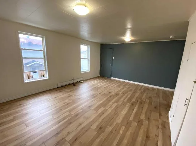 3 1/2 appartement dans quartier St-Sauveur ville de Québec thumbnail 5