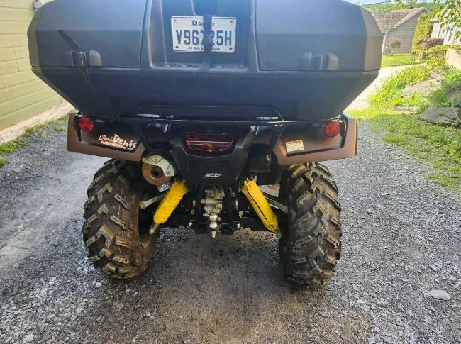 VTT honda rubicon 2021 thumbnail 2