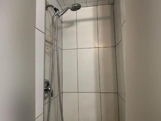 APPARTEMENT À LOUER PRÈS DU MÉTRO CADILLAC thumbnail 6
