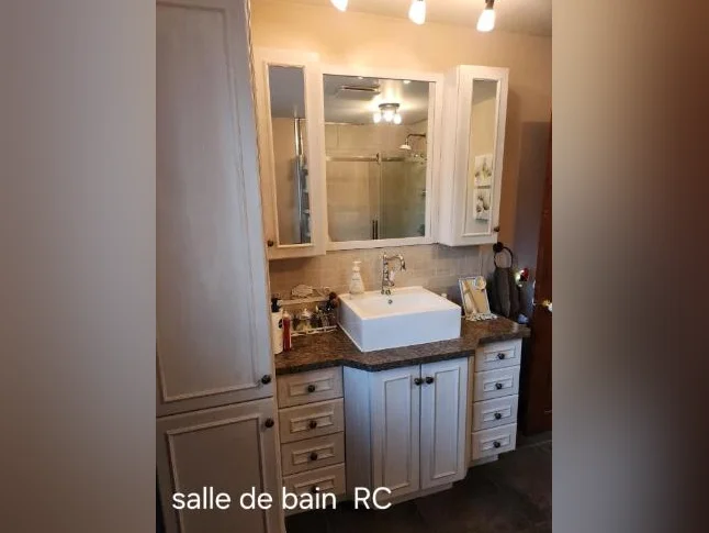 Fermette à vendre thumbnail 8