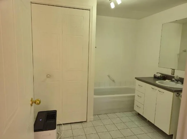 Appartement 3 1/2 à louer - Saint-Hubert thumbnail 8