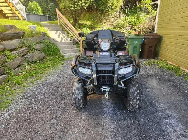 VTT honda rubicon  2021 thumbnail 7