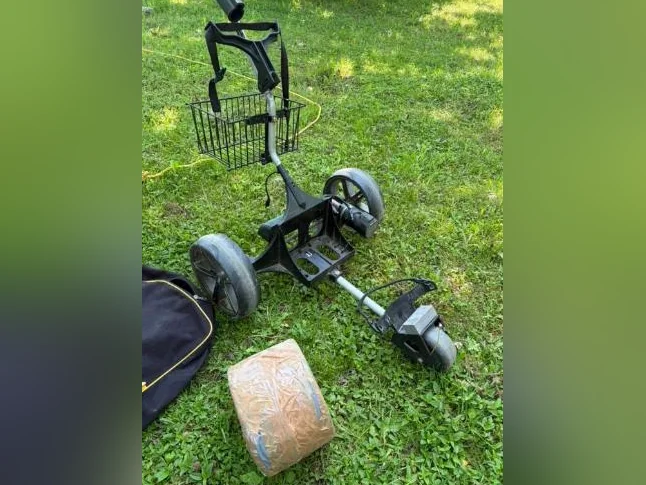Chariots de golf électrique