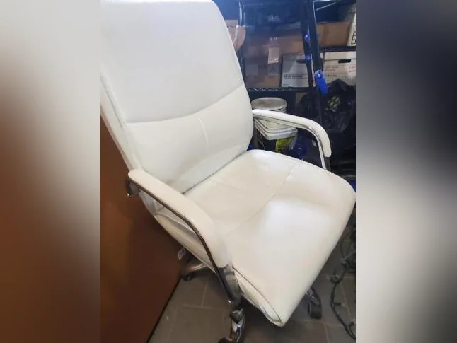 2 Chaises de bureau blanche (Structube)