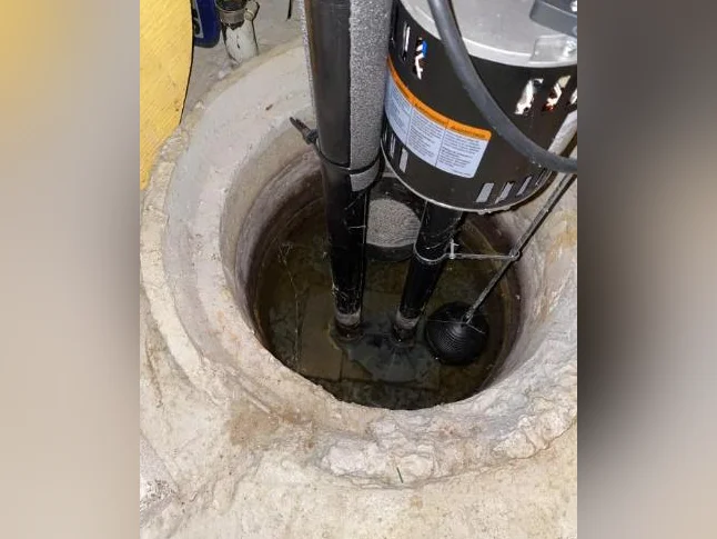 Pompe de puisard (Sump pump) sur pied 1/3 HP thumbnail 6