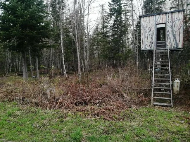 Terrain de chasse a louer