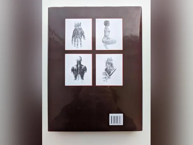1200 illustrations anatomiques du corps humain (dessins) thumbnail 3