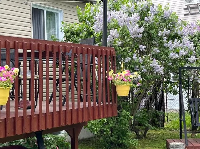 MAISON À VENDRE 3 CHAMBRES DANS LANAUDIÈRE thumbnail 10