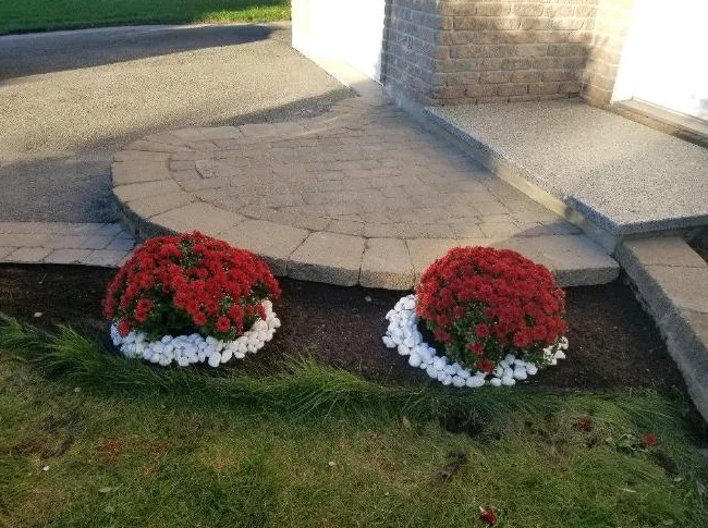 Pavé Uni réparation et installation