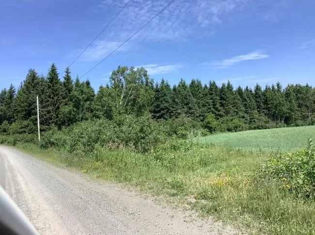 Terrain boisé thumbnail 4