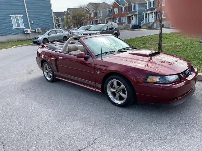 Mustang 2004 thumbnail 3